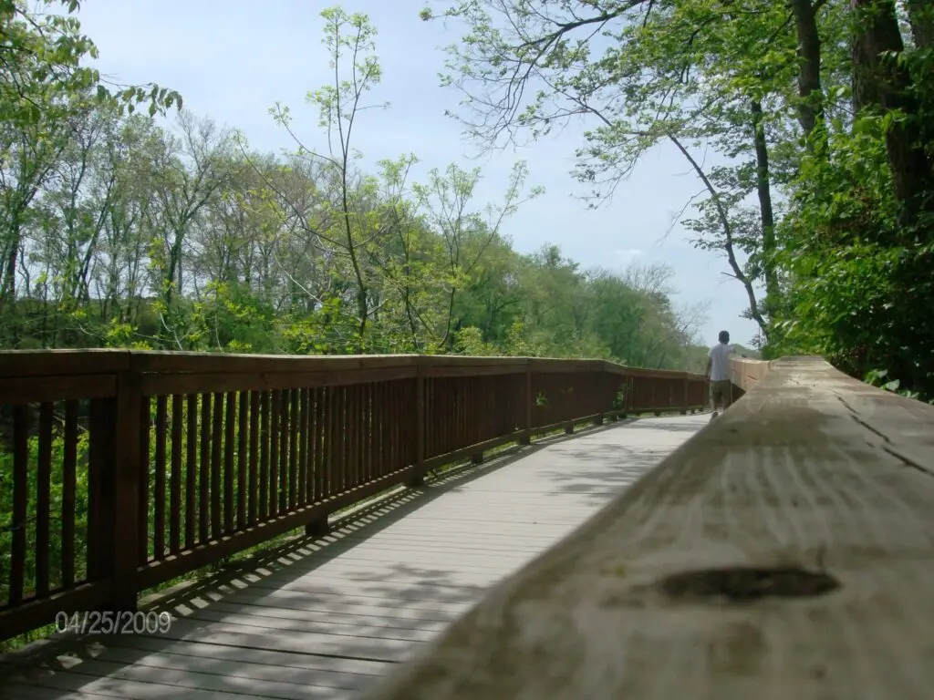 BOARDWALK_STONE_RIVER_GREENWAY_-_panoramio (1)